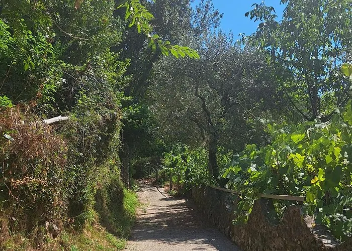 Alberta * Massa (Tuscany)