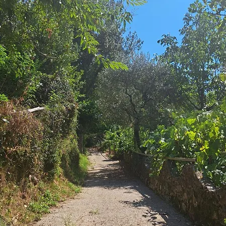 Alberta * Massa (Tuscany)